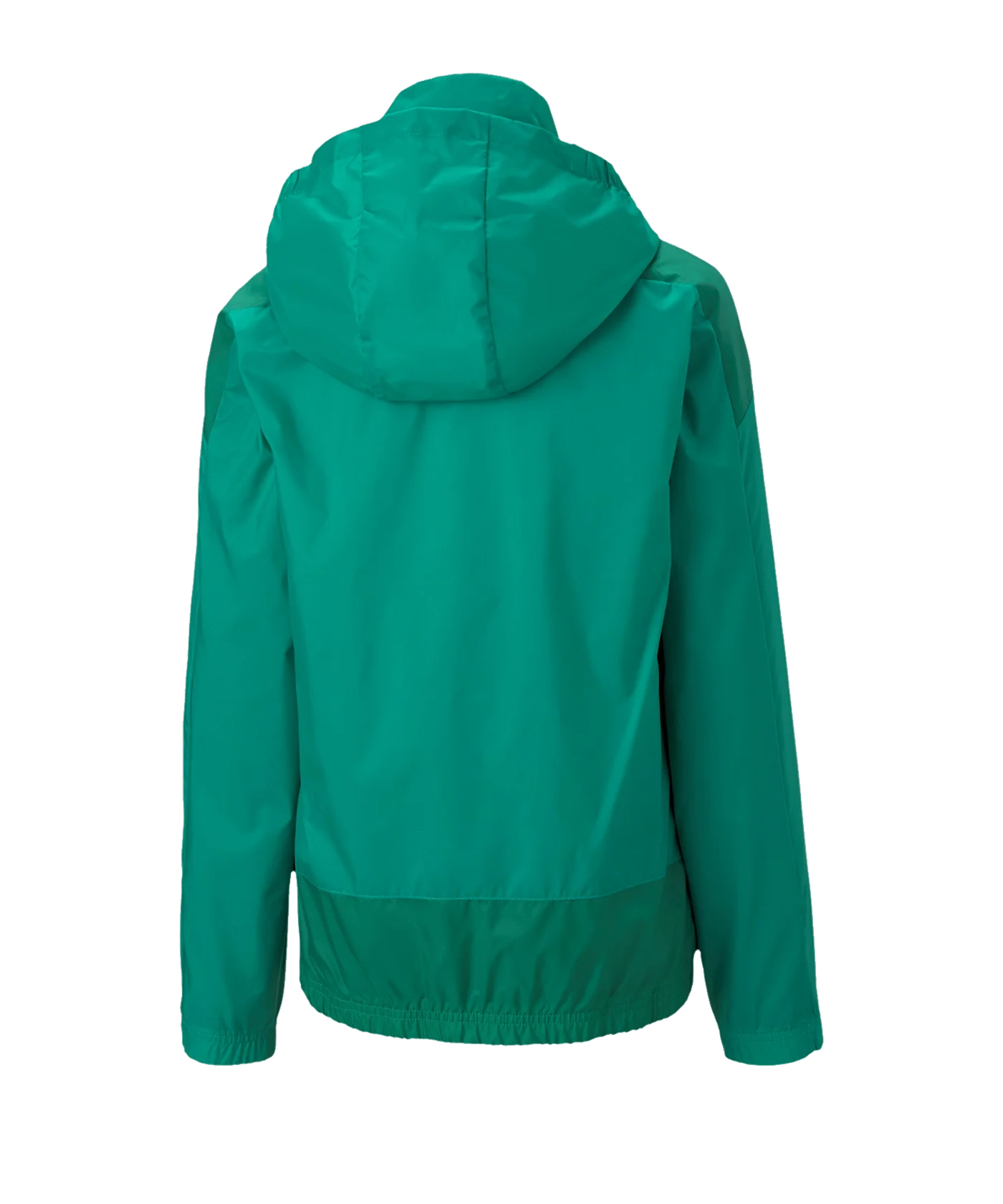 PUMA teamGOAL 23 Training Regenjacke Kids Grün F05