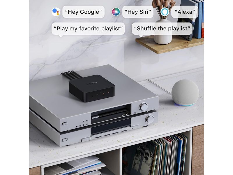 WiiM Netzwerk-Audioplayer Pro Plus Schwarz Ultrahochauflösender Audio-Streamer mit Chromecast