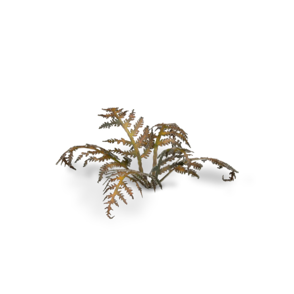 Laser Plants - Dry Bracken