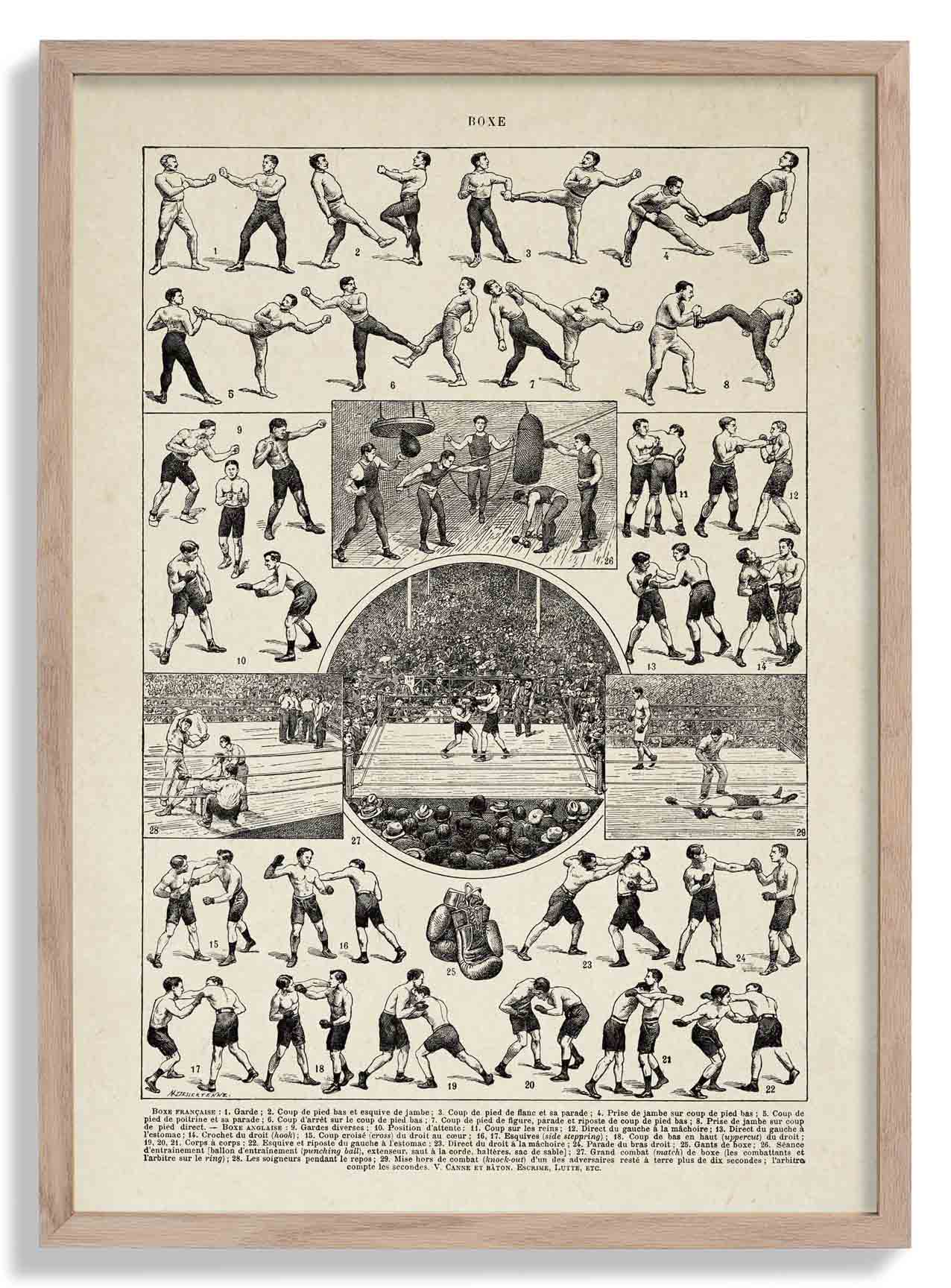 Vintage Boxe Larousse