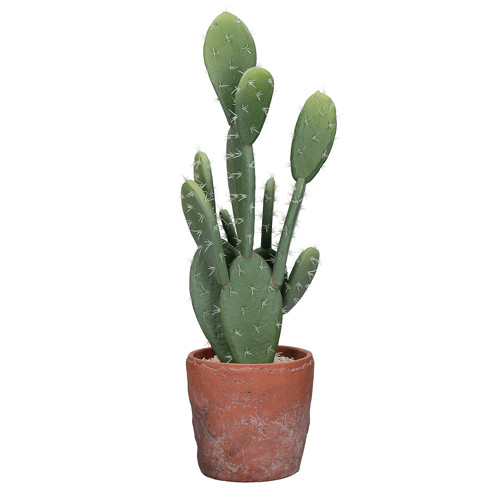 Pomax - TERRACOTTA LOVE - vert