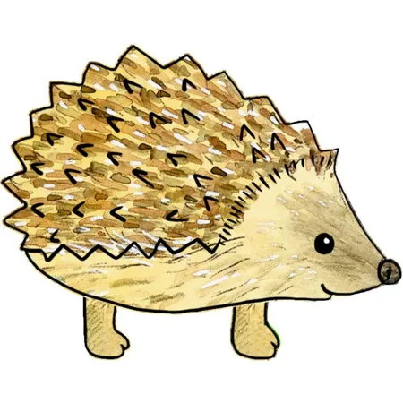 Coppenrath Verlag Mein kleines Gartenbuch: Igel