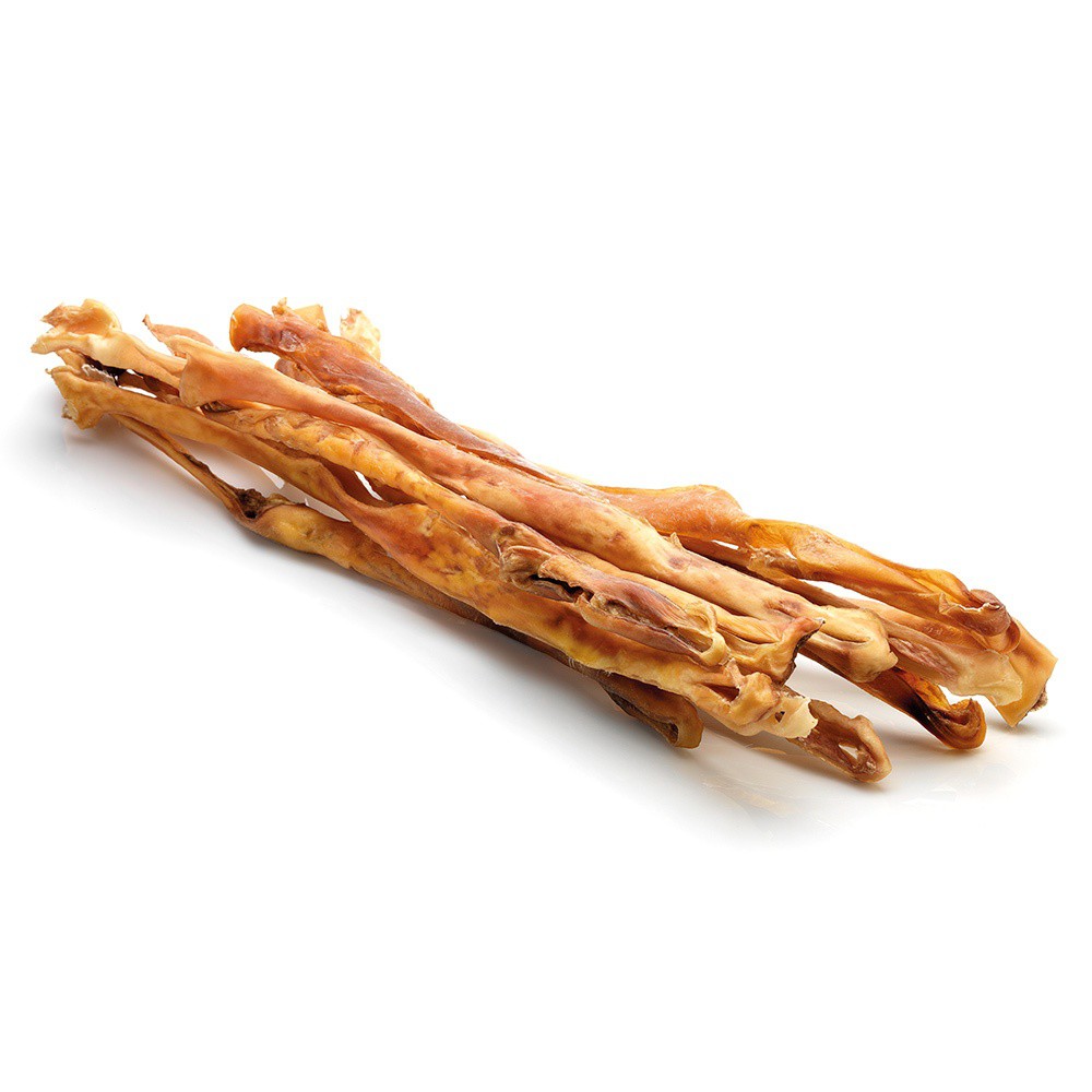 Cabeça de cachorro com sabor de carne