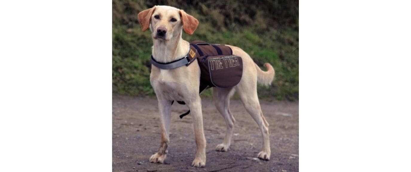 TRIXIE Tiertransporttasche »Willow Beige/Braun« bis 7 kg