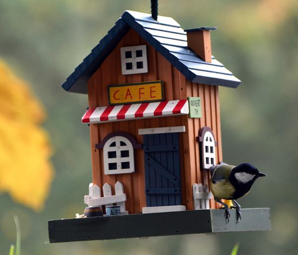 dobar® wildlife Vogelhaus Café, Kiefer,