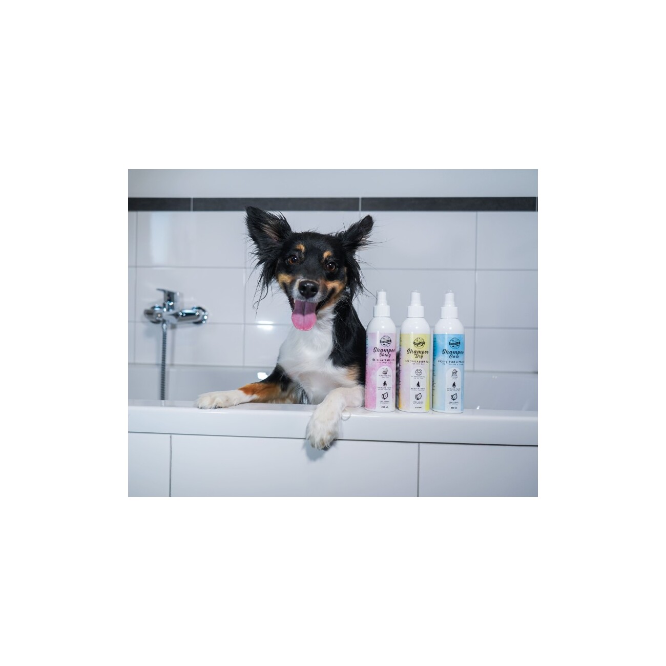 Bellfor Hundeshampoo Dry bei trockenem Fell - 250ml