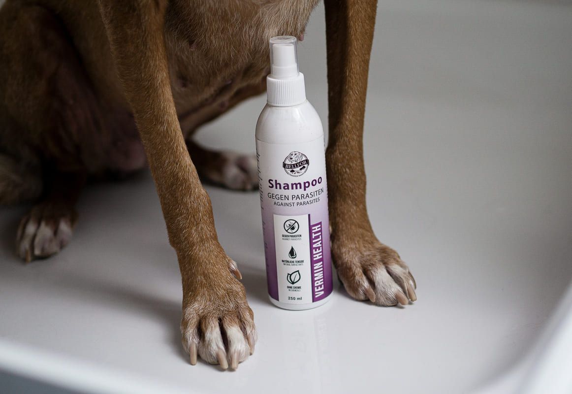 Bellfor Hundeshampoo Vermin Health - gegen Hautparasiten beim Hund