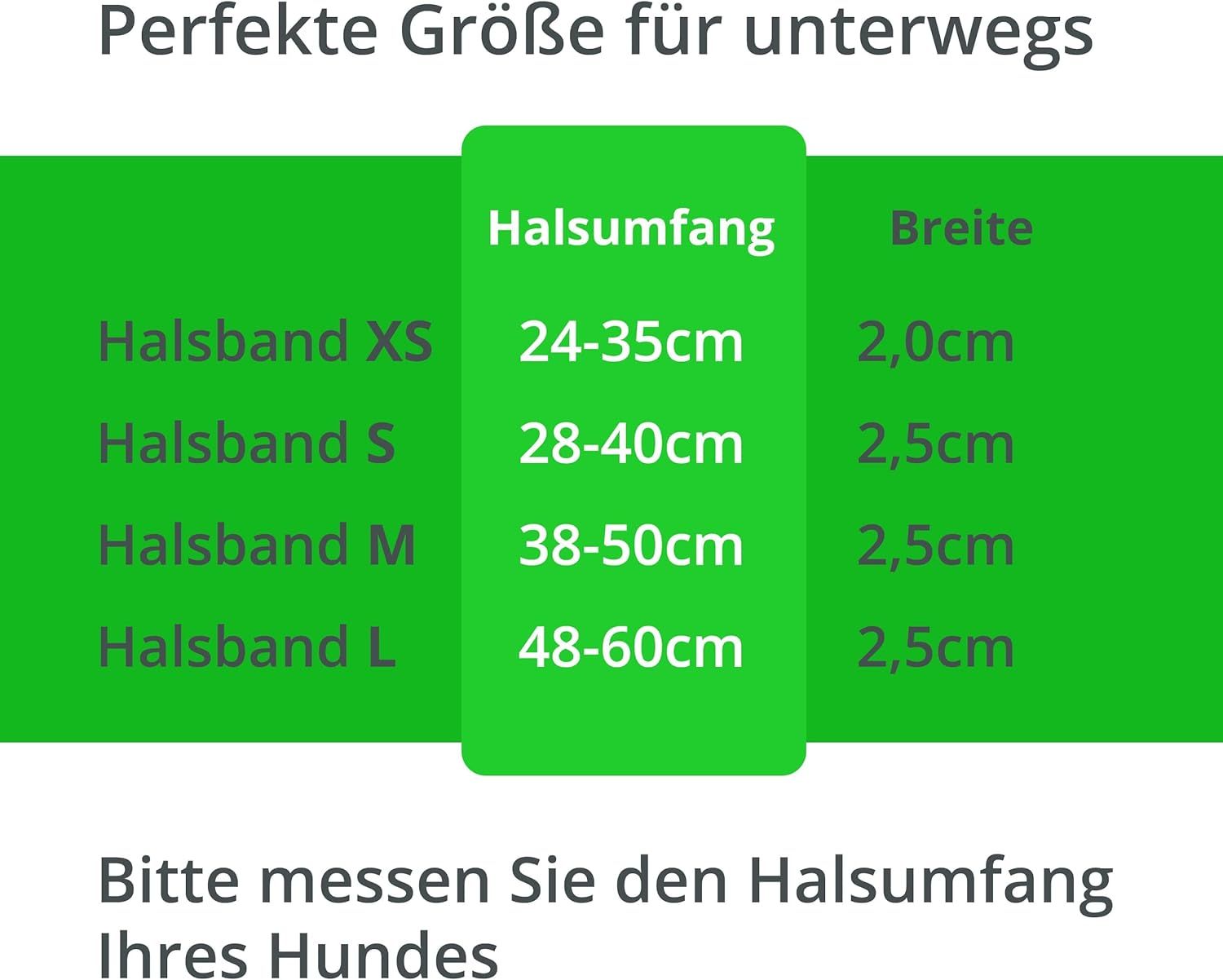 PETSATION Leuchthalsband Hundehalsband