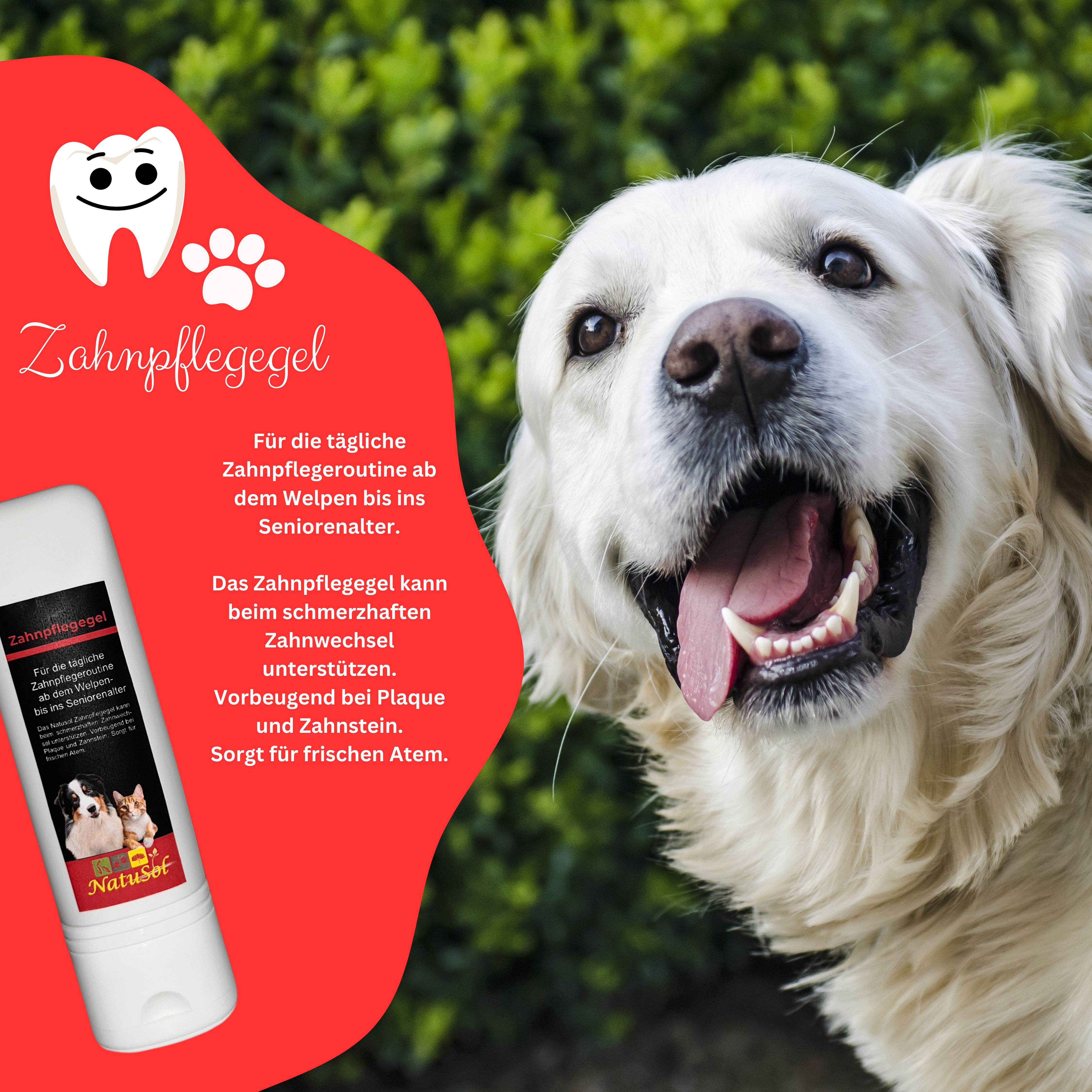 NatuSol Zahnpflegegel für Hunde & Katzen