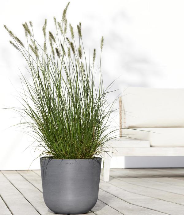 Ecopots Kunststoff-Topf Oslo mit Wassersystem,