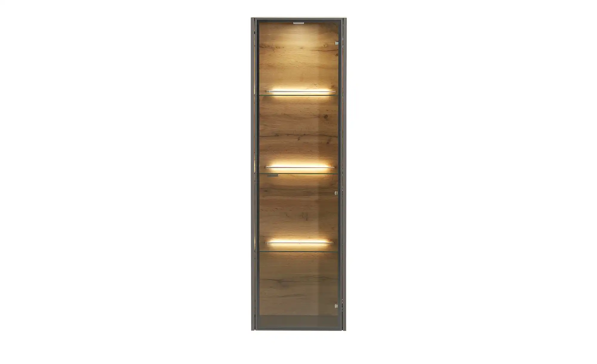 Hängevitrine Light Line 10