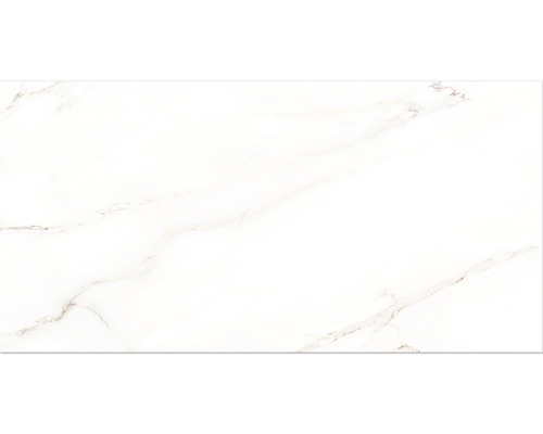 Porseleinen wand- en vloertegel Premium Calacatta wit 60 x 120 x 0,9 cm glanzend gerectificeerd