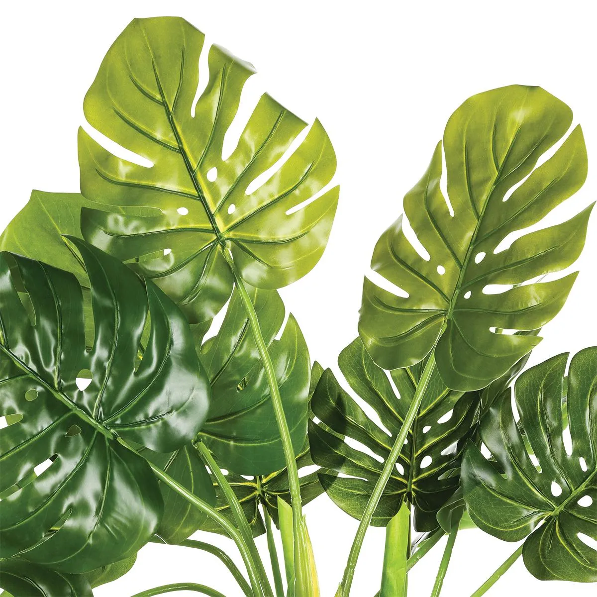 Atmosphera, Createur D'Interieur Plante verte en pot