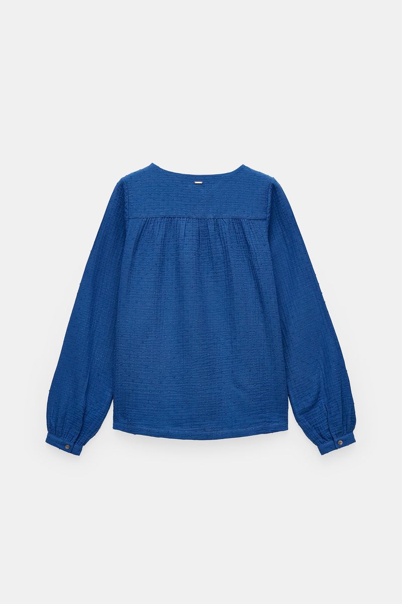 BLUSA PLUMETI COM DECOTE EM V