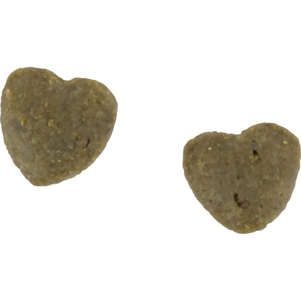 Friandises aux insectes 100 g pour chat sensible