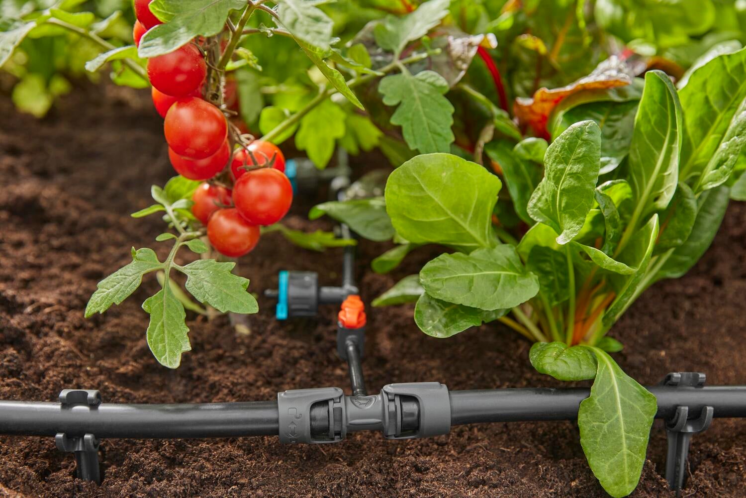 Gardena Micro Drip systeem T-stuk 13 mm (1/2 inch) - 4,6 mm (3/16 inch)