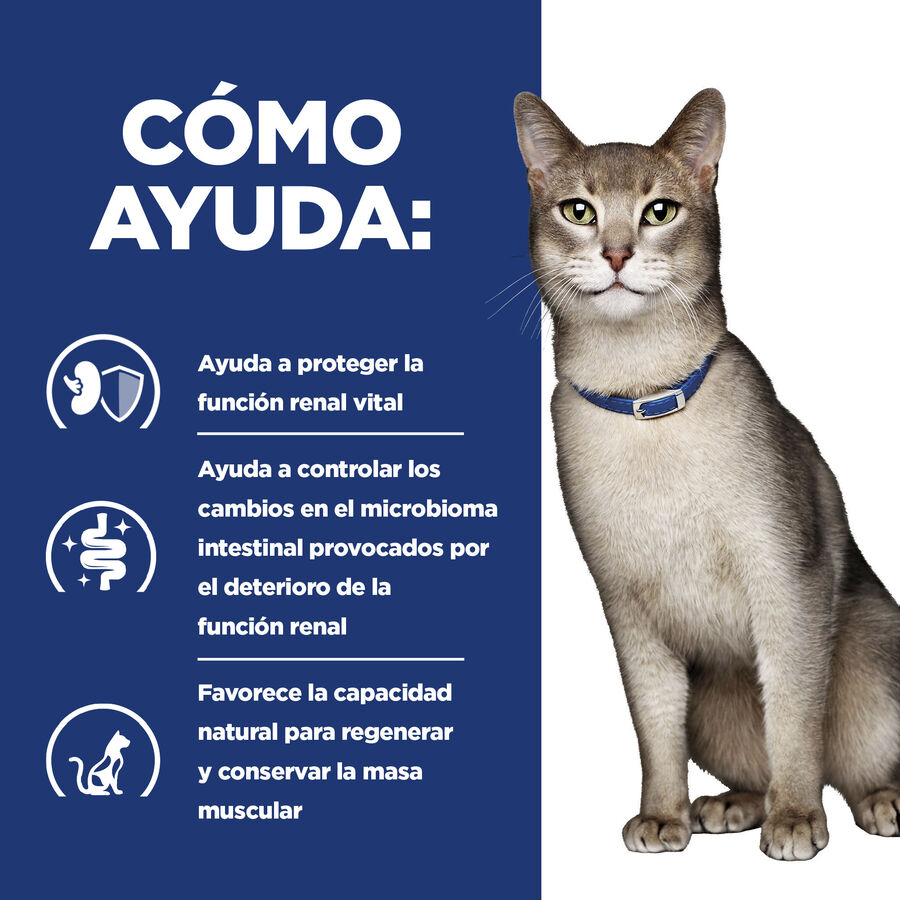 Ração para gatos Hill's Prescription Diet Kidney Care k/d com frango