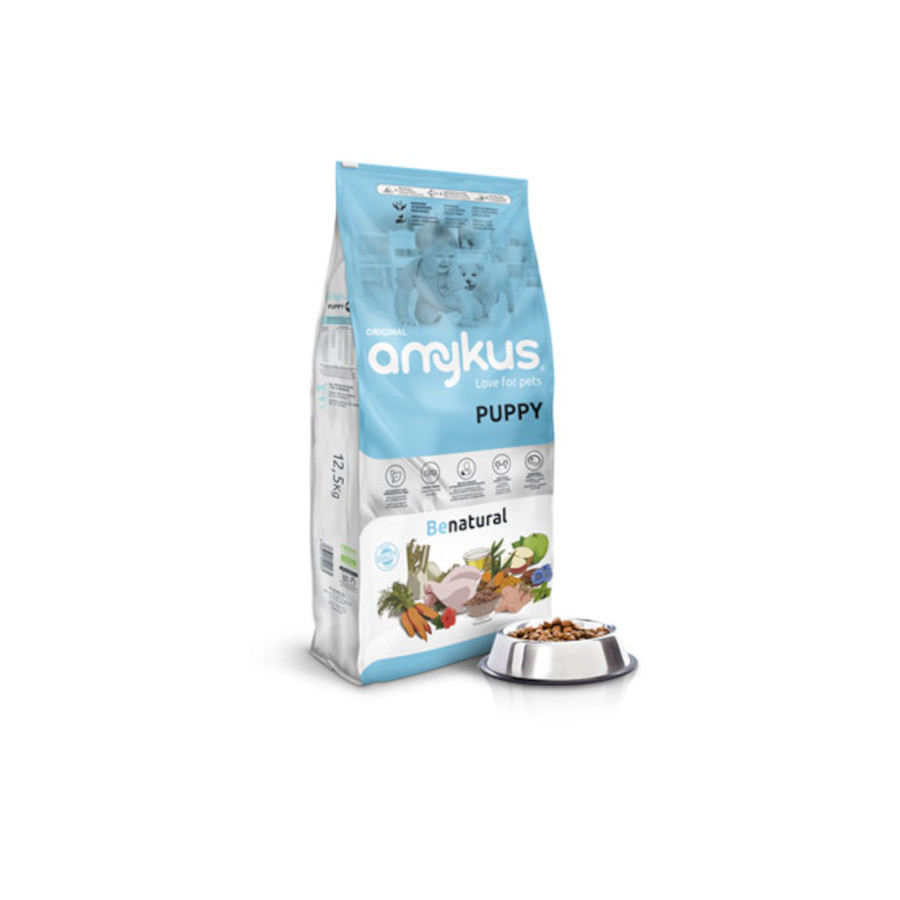 Filhote Original Amykus