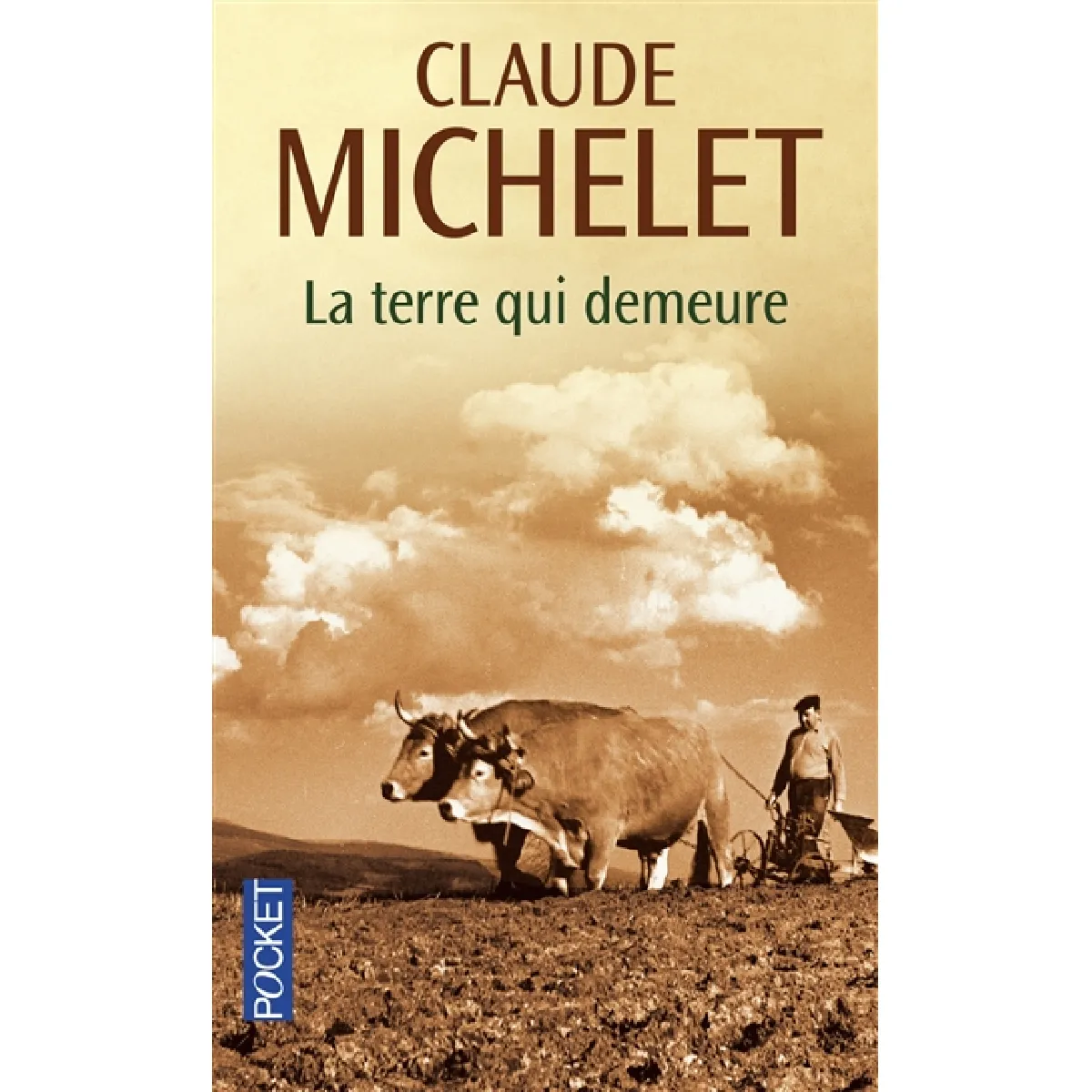 La terre qui demeure · Occasion