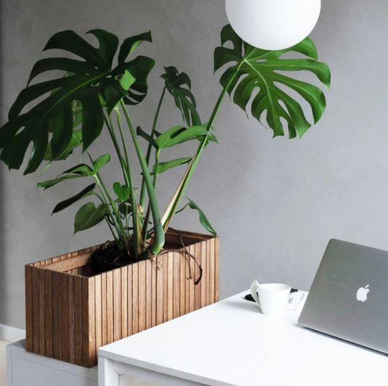 Squarely Copenhagen GrowWIDE plantenbak incl waterreservoir 60x22vdonker eiken