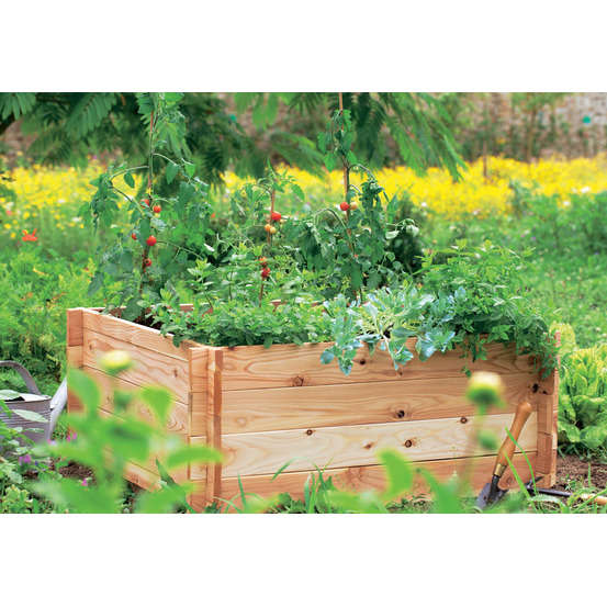 Carré potager en bois massif certifié FSC® - L.100 x l.100 x H.40cm