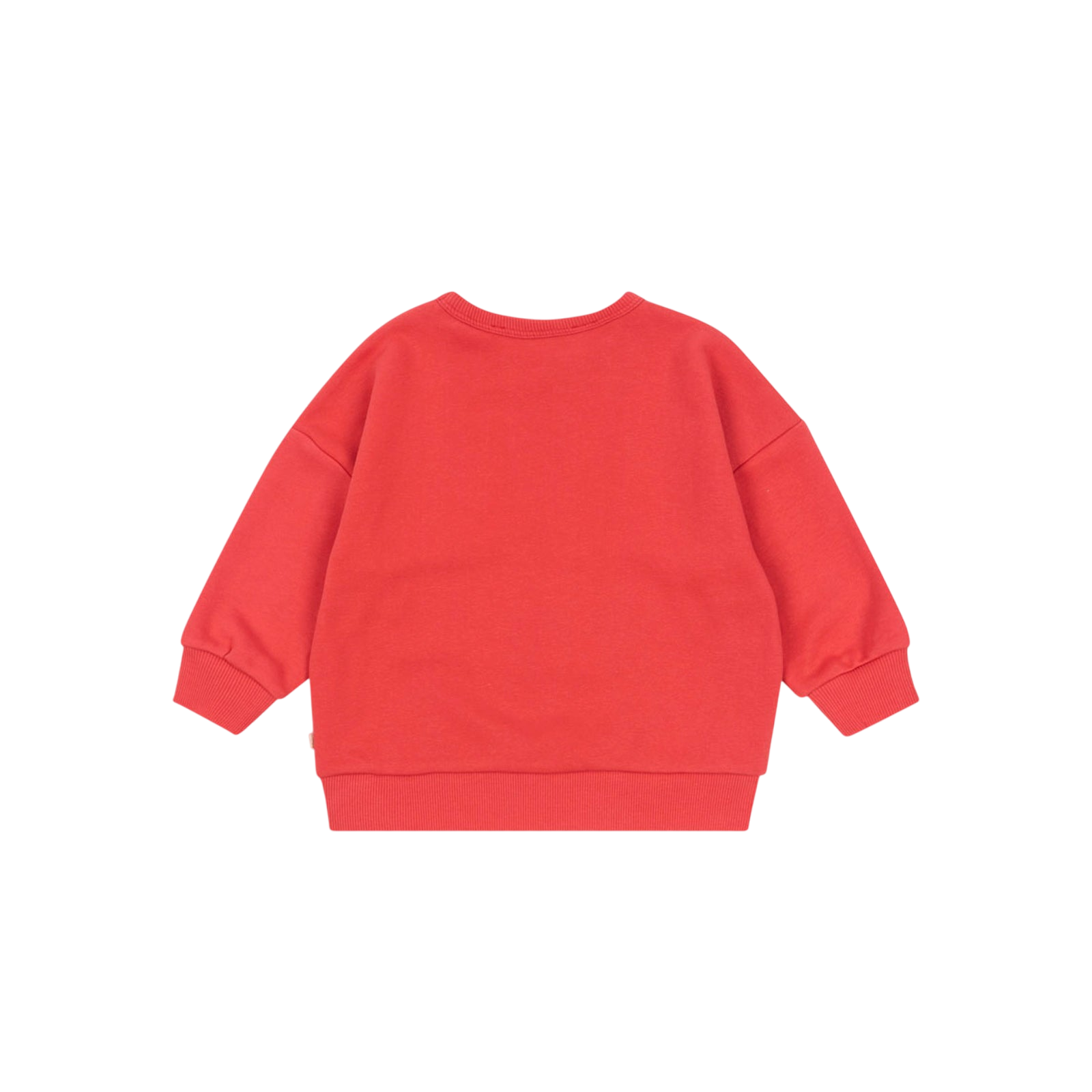 Sweatshirt Lou Sequin Winterberry
