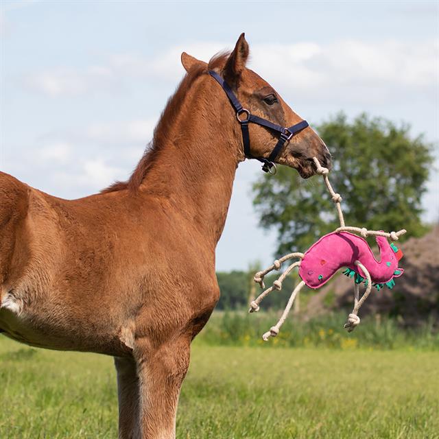 Paardenspeeltje QHP Unicorn