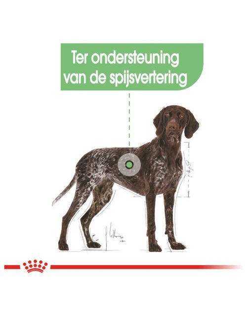 Royal Canin Digestive Care Maxi - Hondenvoer