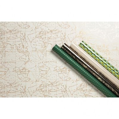 Clairefontaine Premium - Papier cadeau - 70 cm x 2 m - 80 g/m² - collection travel