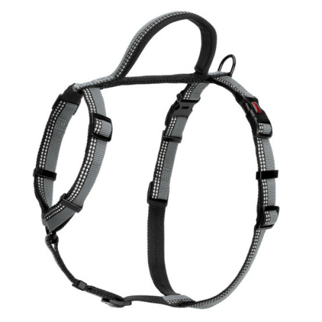 Harnais Walking Halti pour chien