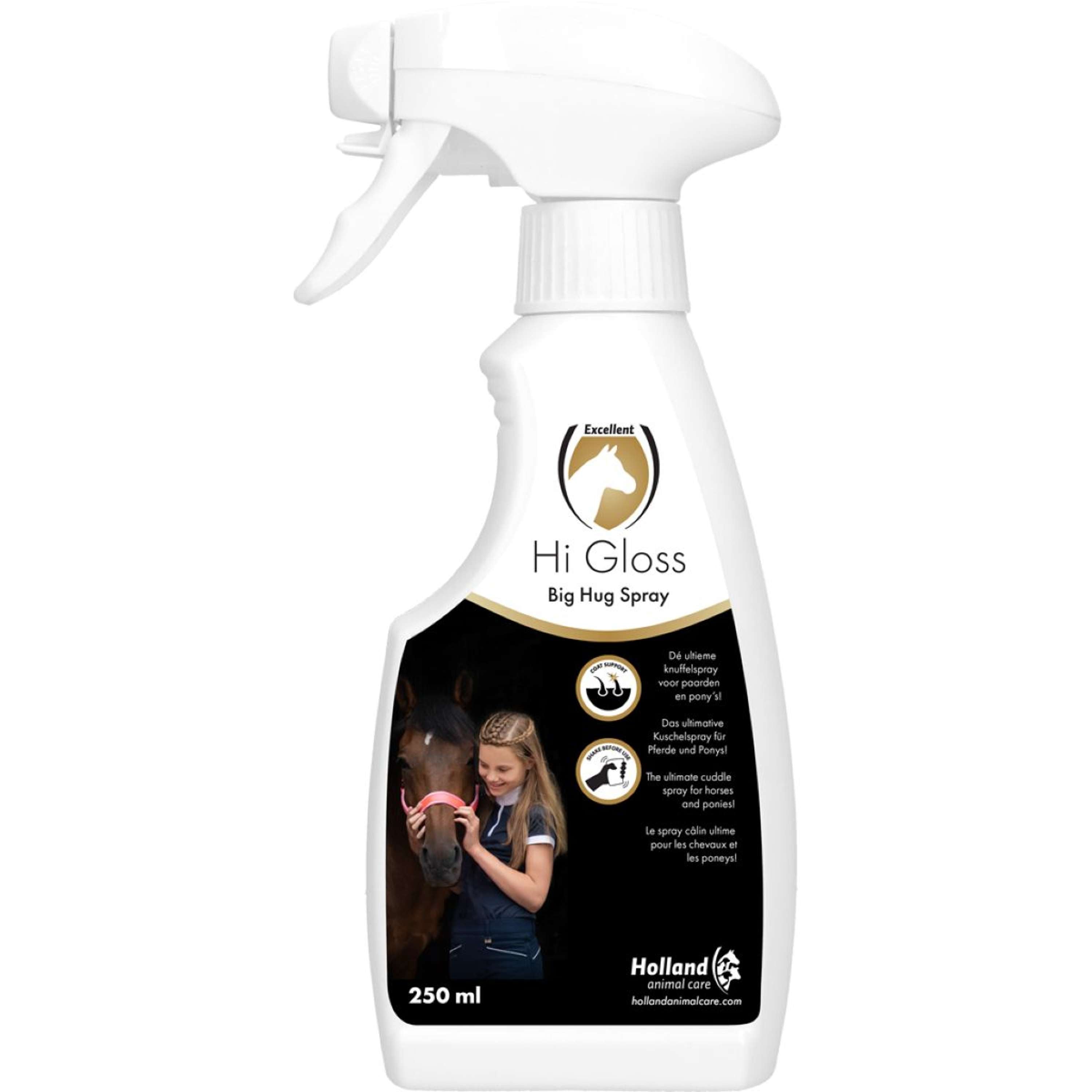 Excellent Hi Gloss Spray Big Hug