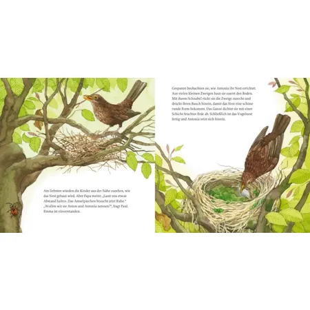 Carlsen Verlag LESEMAUS 108: Das Vogelnest