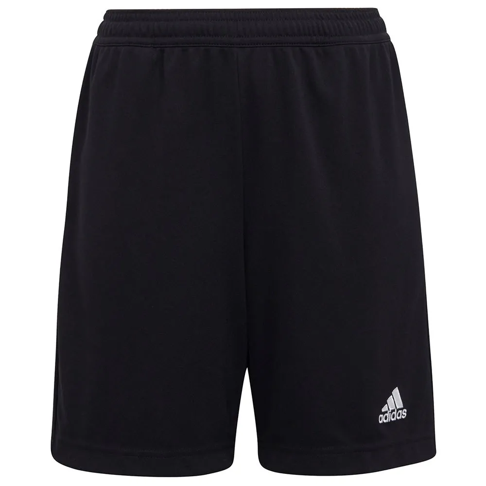 adidas Calções de treino Entrada 22