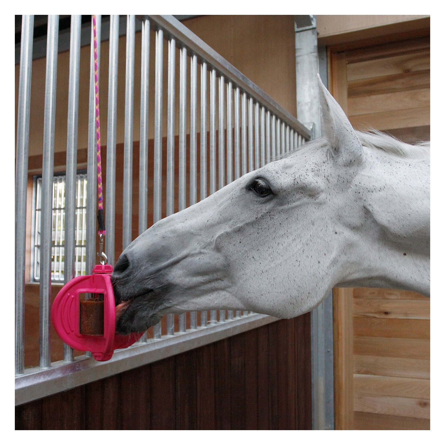 Bizzy HORSE Ball, für Pferde  - pink