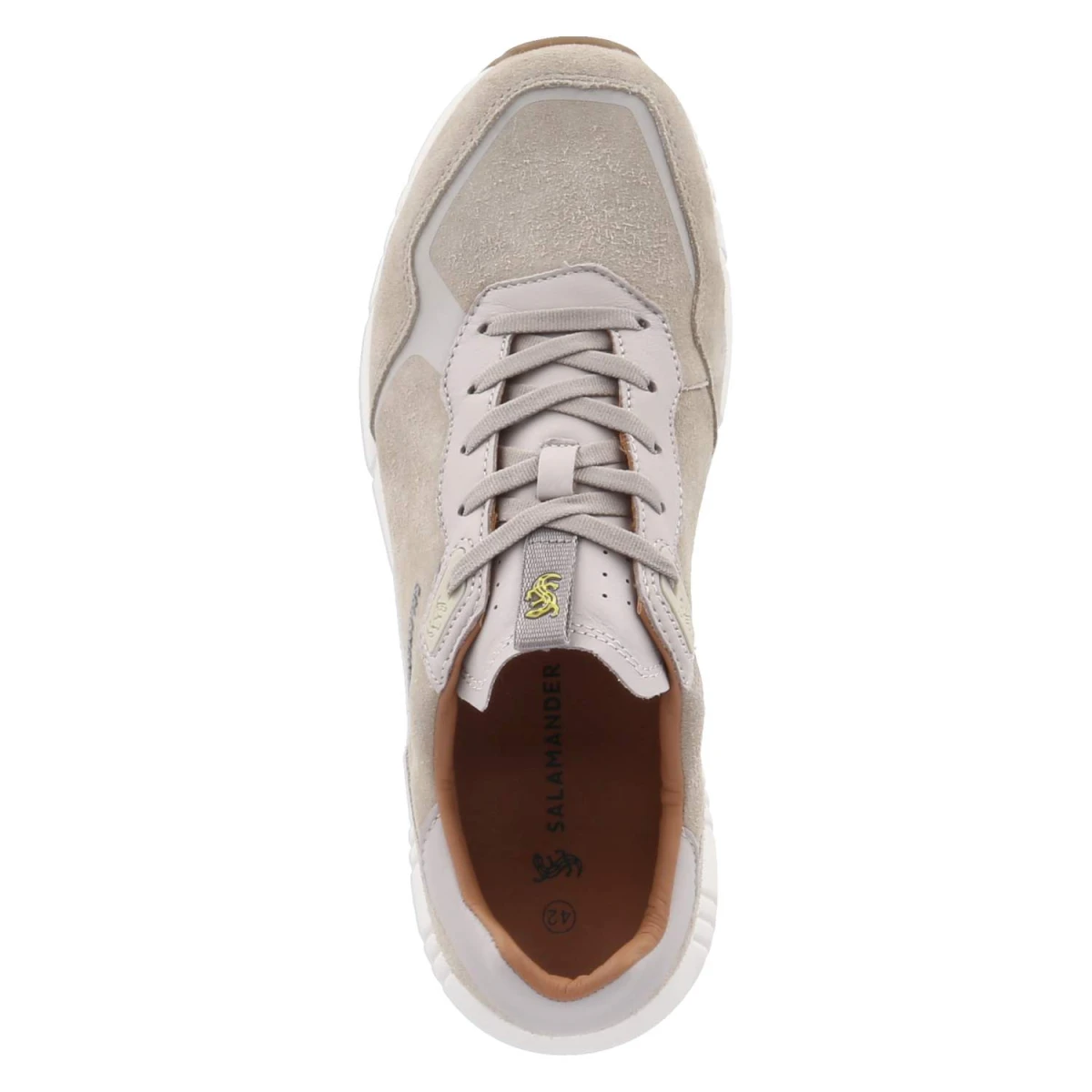 SalamanderLow Sneaker - BEIGE