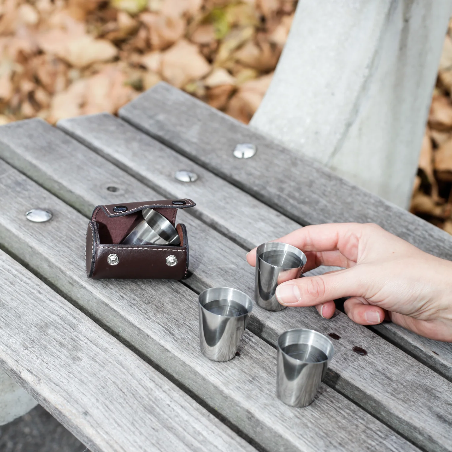 Shot Glasses with Leather Case