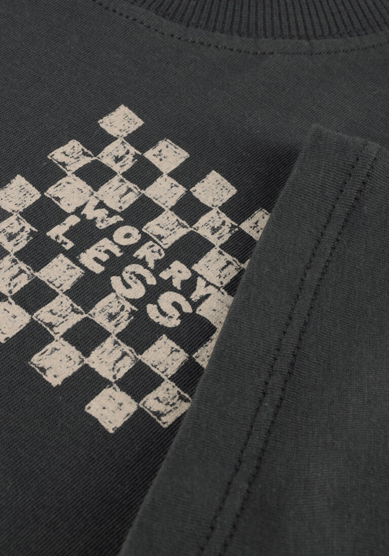 AMMEHOELA grijze ammehoela t-shirt am.zoe.63