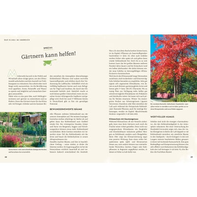 So wird der Garten fit fürs Klima