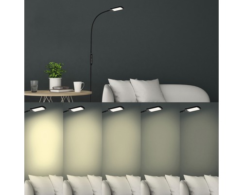 LED vloerlamp, dimbaar, CCT 700 lm, 3000-6500 KH, 140 cm, zwart, met afstandsbediening
