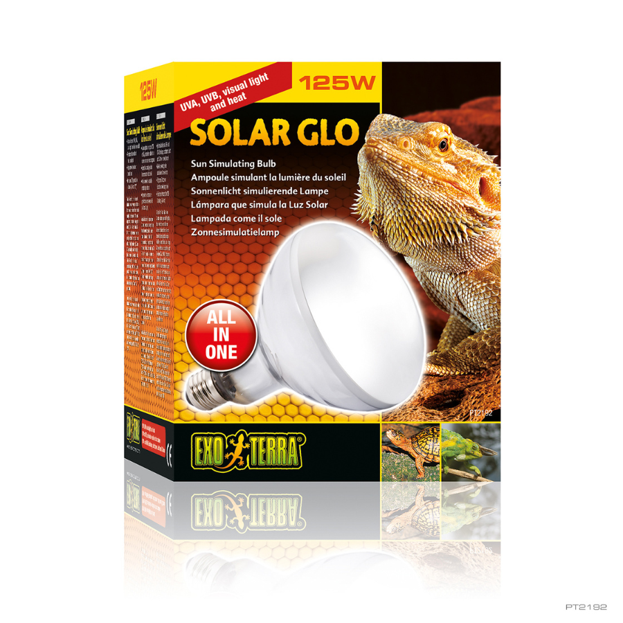 Lâmpada ultravioleta Exoterra Solar Glo