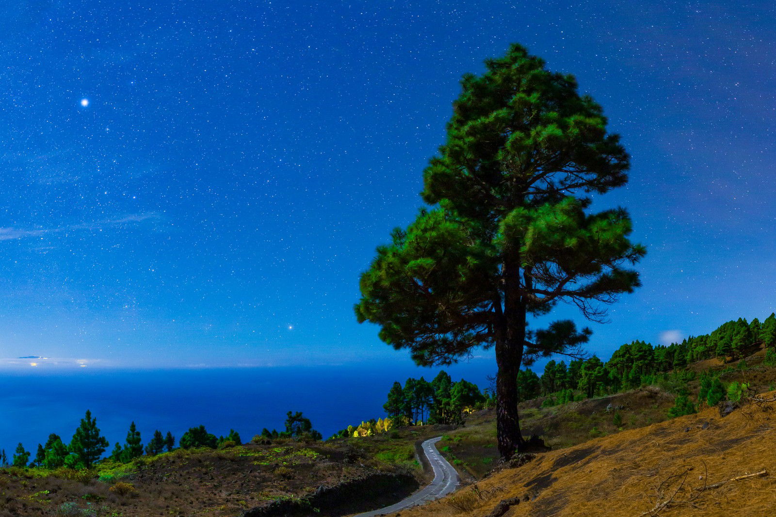 Moonlight Peace by Babak Tafreshi - Limited Edition. Edition of: 100. Signed.