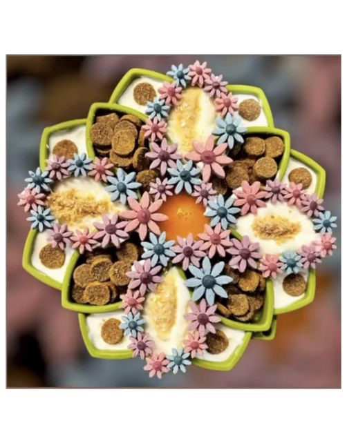Sodapup Mandala Etray Feeder - Hondenvoerbak - Ø20 cm Groen