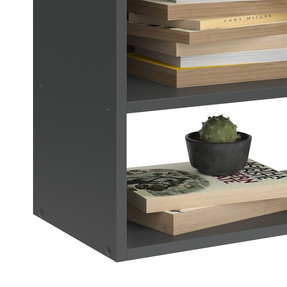 Vicco Hängeschrank Wido Anthrazit Eiche 60 x 100 cm mit Tür