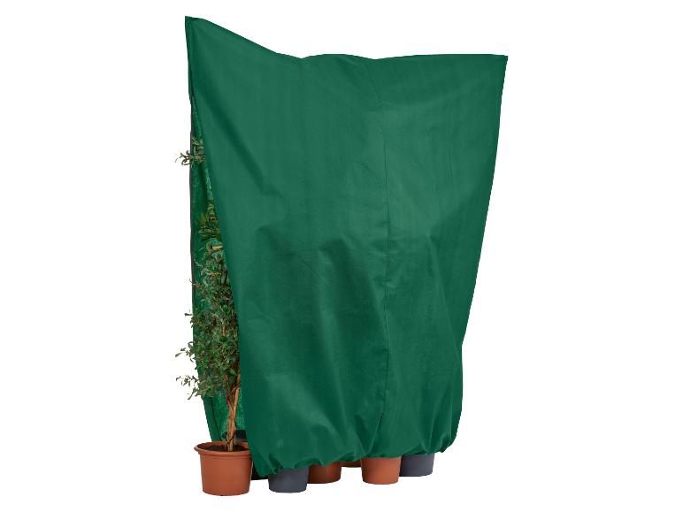 Plantenhoes tegen vorst