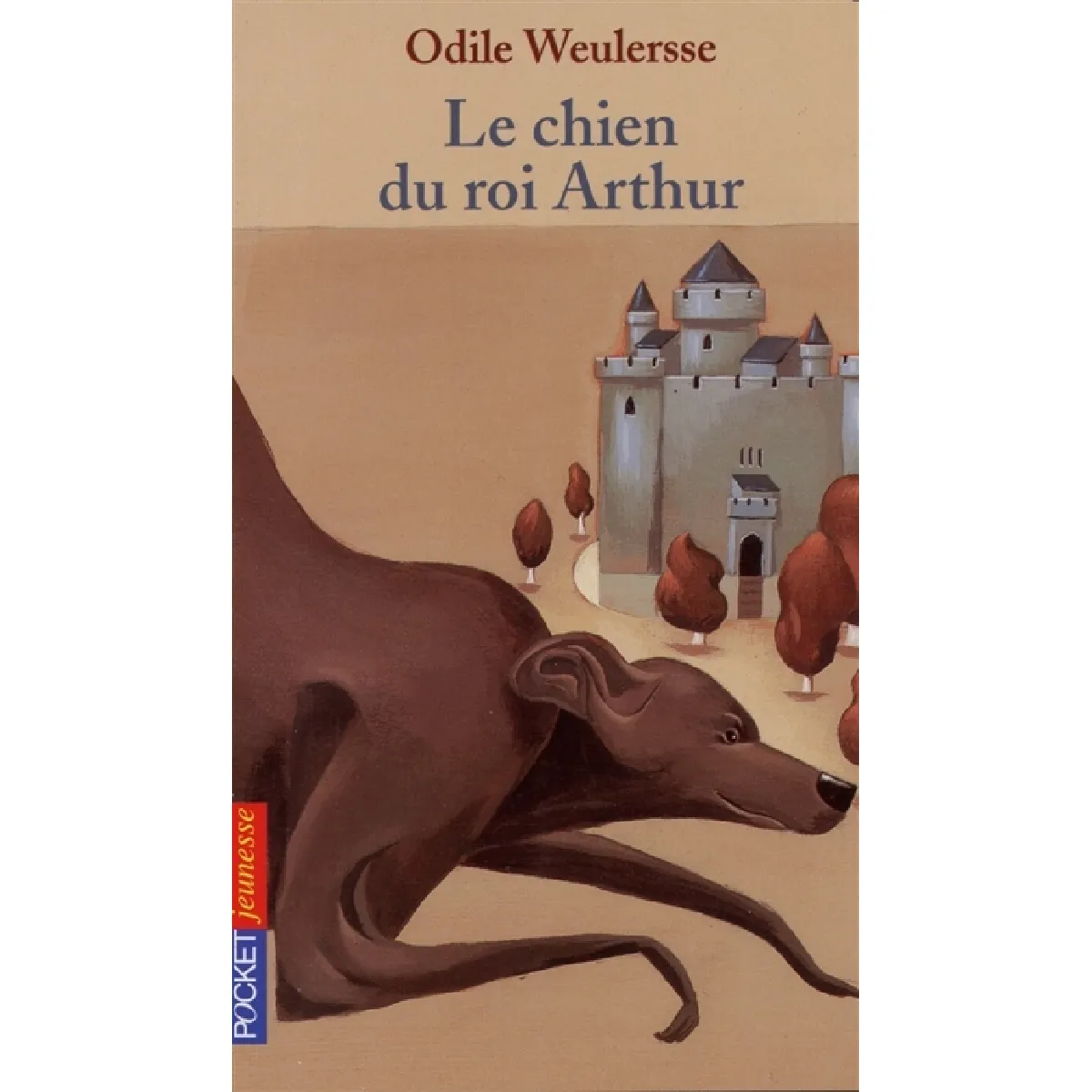 Le chien du roi Arthur · Occasion