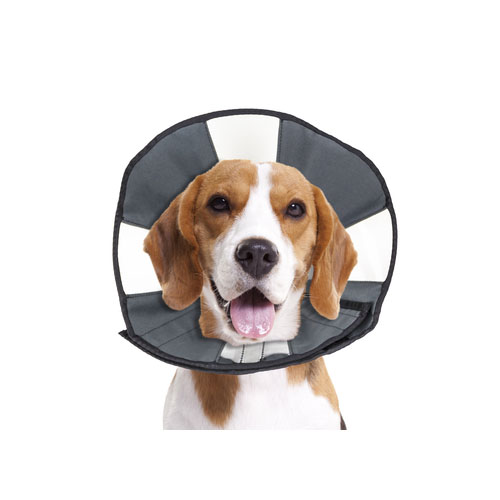 ZenPet Zen Collar