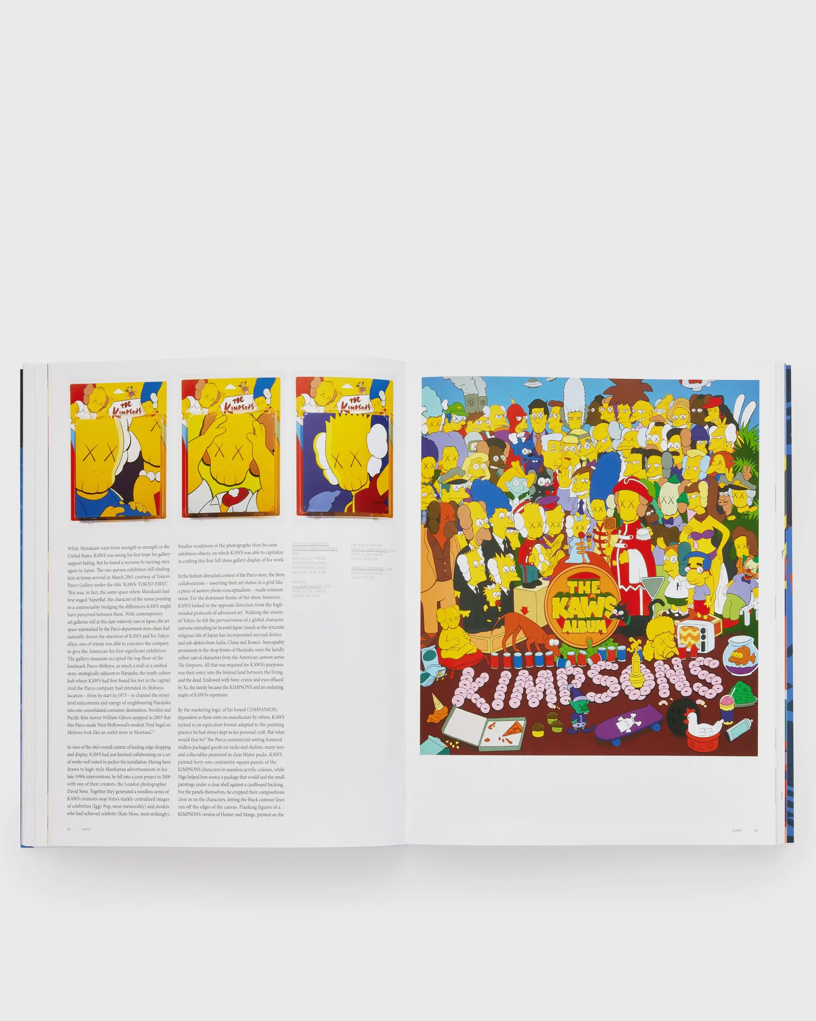 PHAIDON KAWS by Phaidon