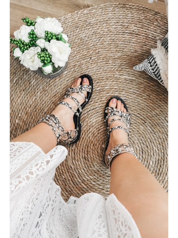 Spartiates Python Faustine