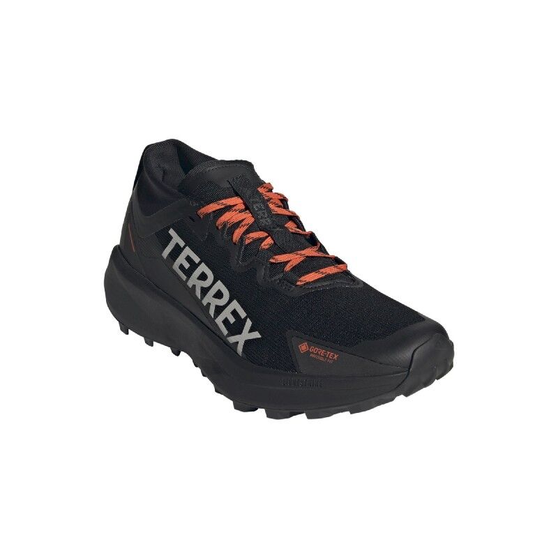 Terrex Agravic GTX - Chaussures trail homme