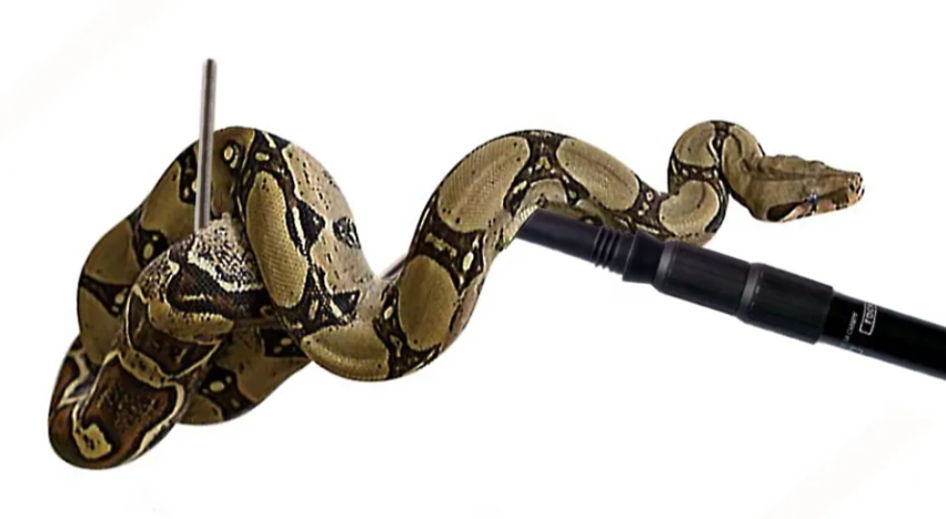 tratador de cobras